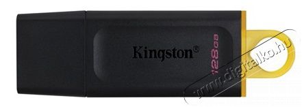 Kingston DTX 128GB PENDRIVE Memória kártya / Pendrive - Pendrive - 365942