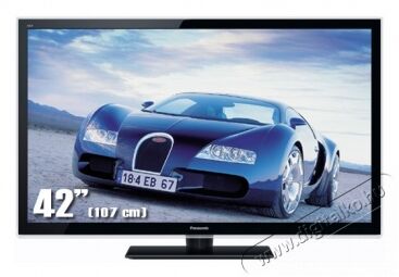 Panasonic E5 (TX-L42E5E) LCD-tévé teszt