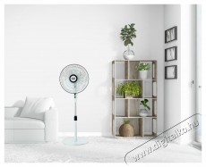 Star-Light FBWB-60W &Aacute;ll&oacute; ventil&aacute;tor, 60W, 40 cm &aacute;tm&eacute;rő, 3 sebess&eacute;g, Oszcill&aacute;l&oacute; funkci&oacute;, &Aacute;ll&iacute;that&oacute; magass&aacute;g, Forg&oacute; talp, Feh&eacute;r/Fekete H&aacute;ztart&aacute;s / Otthon / K&uuml;lt&eacute;r - Ventil&aacute;tor / L&eacute;gkondicion&aacute;l&oacute; - &Aacute;ll&oacute; / padl&oacute; ventil&aacute;tor - 534693