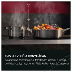 AEG GDE689HB Konyhai termékek - Páraelszívó - Beépíthető / kihúzható - 515068