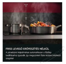 AEG GDP866PB Konyhai termékek - Páraelszívó - Beépíthető / kihúzható - 515071