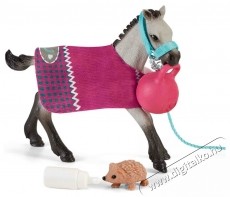 Schleich j&aacute;t&eacute;k a csik&oacute;kkal figura k&eacute;szlet H&aacute;ztart&aacute;s / Otthon / K&uuml;lt&eacute;r - J&aacute;t&eacute;k / Sport - J&aacute;t&eacute;kfigura - 534641