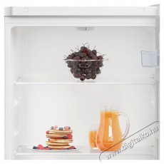 Beko RSSA215K40WN Konyhai termékek - Hűtő, fagyasztó (szabadonálló) - Fagyasztó nélküli hűtő - 515198