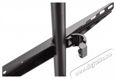 A+ SPL46F Telev&iacute;zi&oacute; &aacute;llv&aacute;ny, 45 -65 Tv kieg&eacute;sz&iacute;tők - Fali tart&oacute; / konzol - Fali tv tart&oacute; - 534049