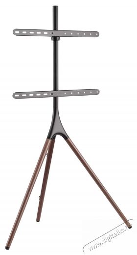 A+ SPL46F Telev&iacute;zi&oacute; &aacute;llv&aacute;ny, 45 -65 Tv kieg&eacute;sz&iacute;tők - Fali tart&oacute; / konzol - Fali tv tart&oacute; - 534049