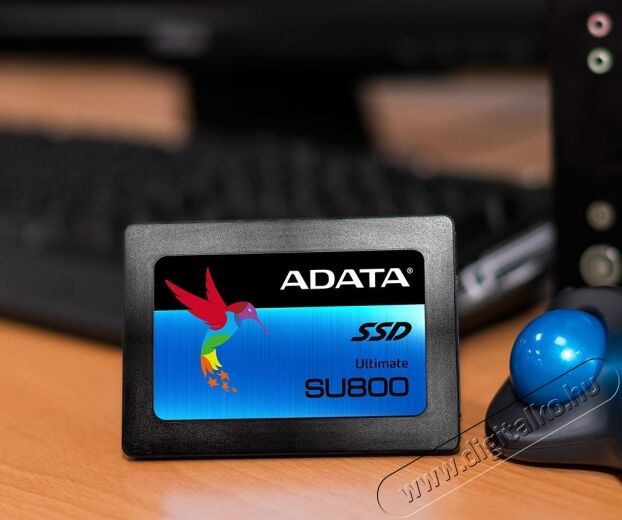 Adata 256GB SATA3 2,5 7mm (ASU800SS-256GT-C) SSD Egyéb - Nem forgalmazzuk ! - 326976