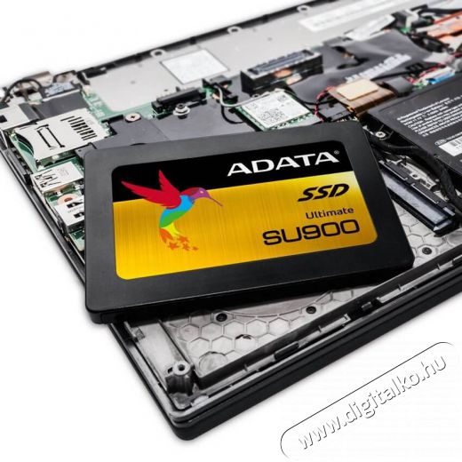 Adata 512GB SATA3 2,5 7mm (ASU900SS-512GM-C) SSD Újdonságok - Új termékek - 342615