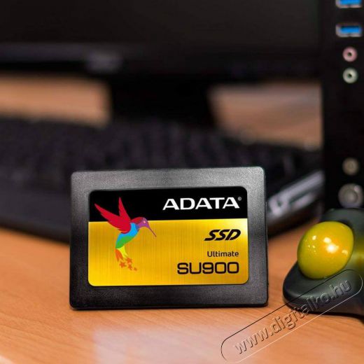 Adata 512GB SATA3 2,5 7mm (ASU900SS-512GM-C) SSD Újdonságok - Új termékek - 342615