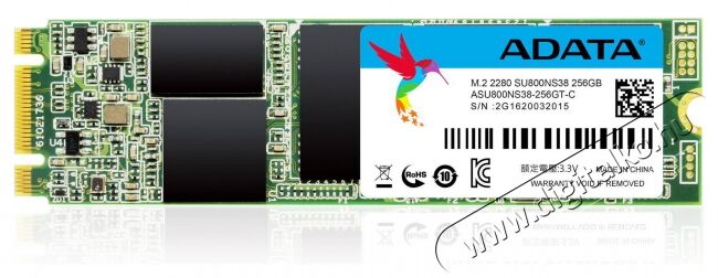 Adata 256GB M.2 2280 (ASU800NS38-256GT-C) SSD Újdonságok - Új termékek - 342606