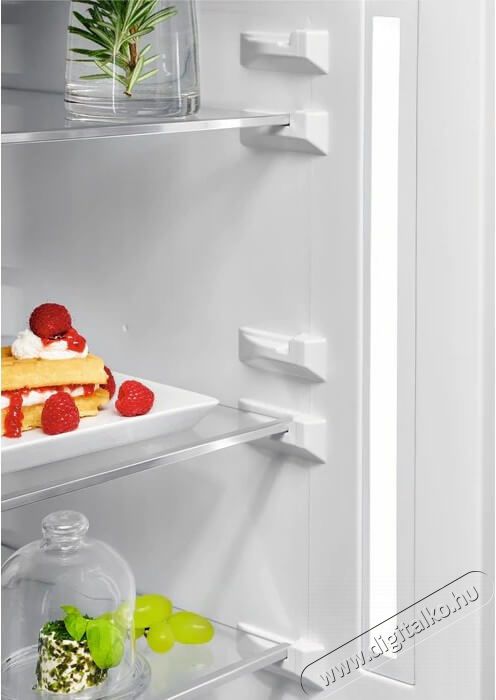 AEG RCB736E5MX szabadon&aacute;ll&oacute; kombin&aacute;lt hűtőszekr&eacute;ny Konyhai term&eacute;kek - Hűtő, fagyaszt&oacute; (szabadon&aacute;ll&oacute;) - Alulfagyaszt&oacute;s kombin&aacute;lt hűtő - 361361