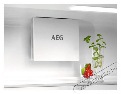 AEG OSC5D181ES HŰTŐ BE&Eacute;P&Iacute;THETŐ ALULFAGYASZT&Oacute;S LF Konyhai term&eacute;kek - Hűtő, fagyaszt&oacute; (be&eacute;p&iacute;thető) - Alulfagyaszt&oacute;s kombin&aacute;lt hűtő - 481264