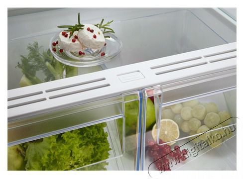 AEG OSC5D181ES HŰTŐ BE&Eacute;P&Iacute;THETŐ ALULFAGYASZT&Oacute;S LF Konyhai term&eacute;kek - Hűtő, fagyaszt&oacute; (be&eacute;p&iacute;thető) - Alulfagyaszt&oacute;s kombin&aacute;lt hűtő - 481264