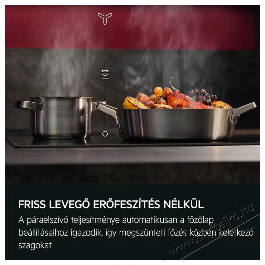 AEG TO64IC00FB Konyhai term&eacute;kek - S&uuml;tő-főzőlap, tűzhely (be&eacute;p&iacute;thető) - Indukci&oacute;s főzőlap (be&eacute;p&iacute;thető) - 515080