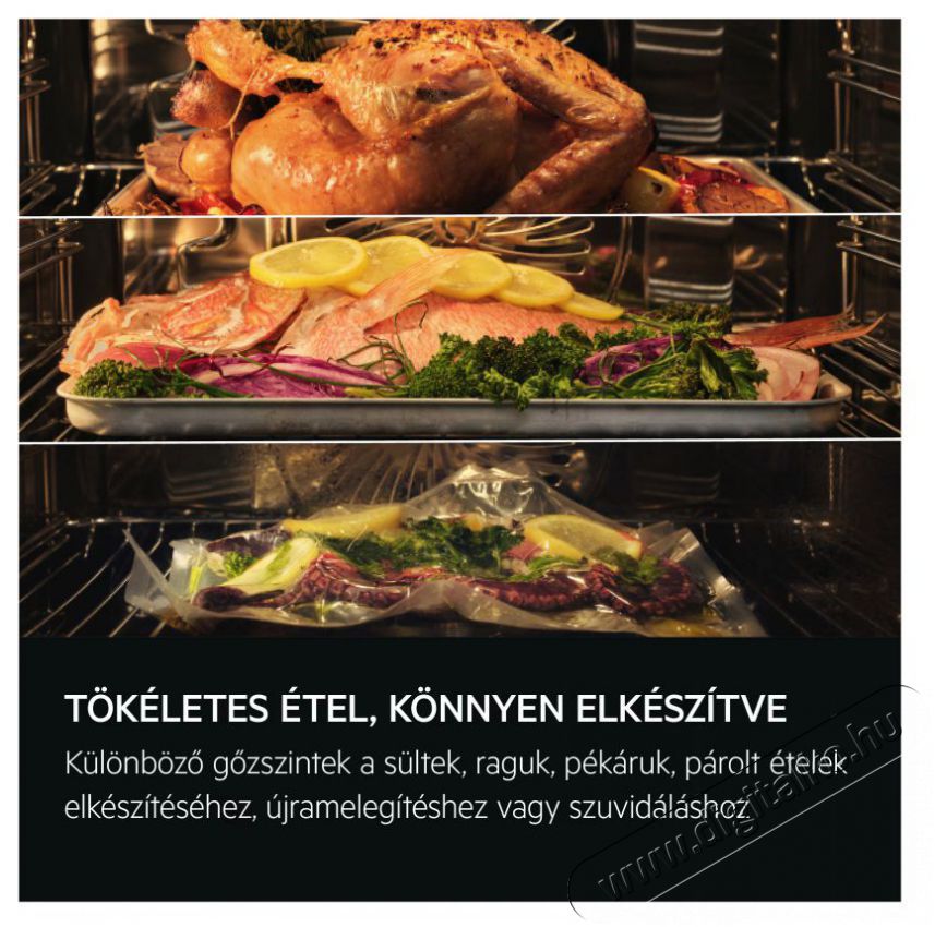 AEG TP9SB831AB Konyhai term&eacute;kek - S&uuml;tő-főzőlap, tűzhely (be&eacute;p&iacute;thető) - S&uuml;tő (be&eacute;p&iacute;thető) - 505571