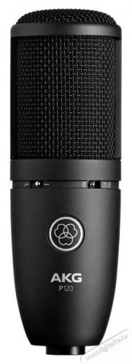 AKG Perception 120 Fot&oacute;-Vide&oacute; kieg&eacute;sz&iacute;tők - Mikrofon - &Eacute;nek &eacute;s hangszer mikrofon - 524079