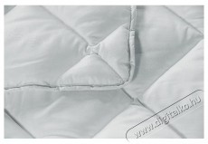 Alcam mikrosz&aacute;las ny&aacute;ri paplan, 200x220 cm H&aacute;ztart&aacute;s / Otthon / K&uuml;lt&eacute;r - Egy&eacute;b h&aacute;ztart&aacute;si term&eacute;k - 535937