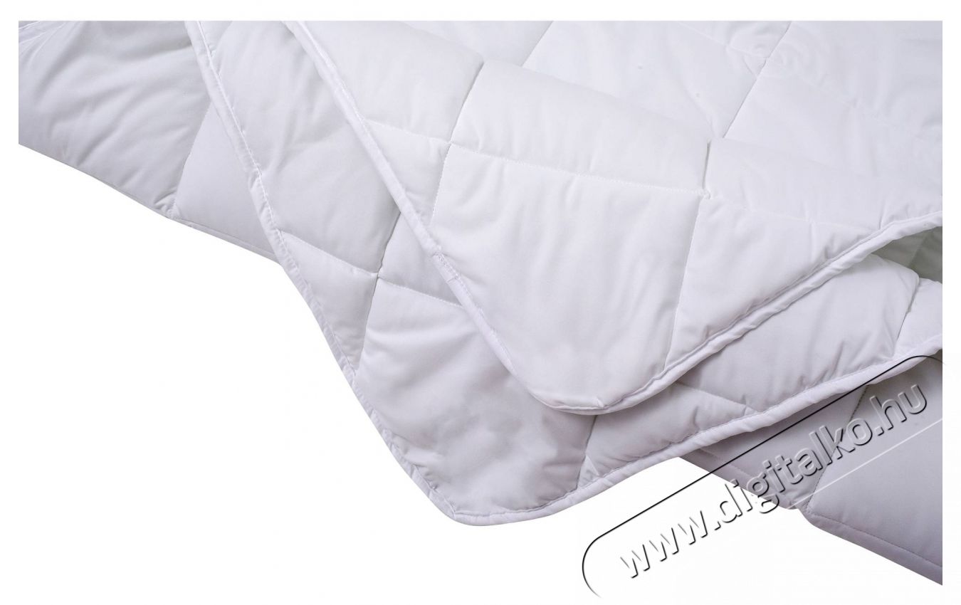 Alcam paplan, Steppelt mikrosz&aacute;las, 220x200 cm, 250 g, K&ouml;zepesen meleg Sz&eacute;ps&eacute;g&aacute;pol&aacute;s / Eg&eacute;szs&eacute;g - Meleg&iacute;t&eacute;s - Pl&eacute;d / takar&oacute; - 535931