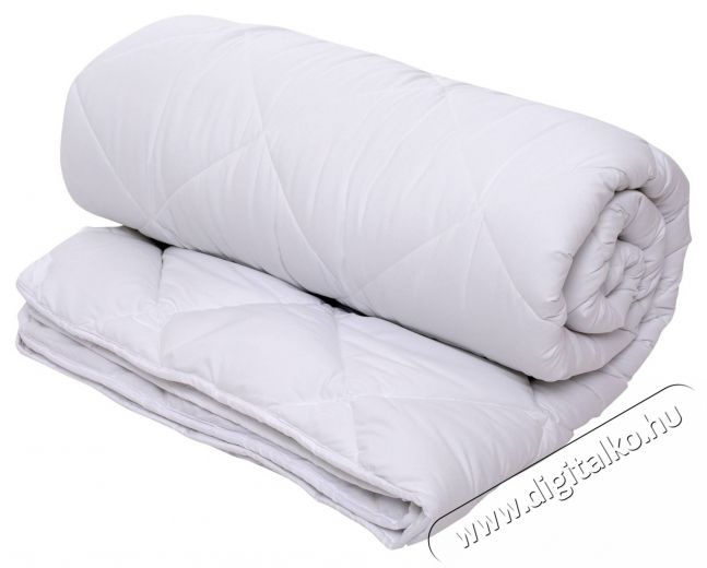 Alcam paplan, Steppelt mikrosz&aacute;las, 220x200 cm, 250 g, K&ouml;zepesen meleg Sz&eacute;ps&eacute;g&aacute;pol&aacute;s / Eg&eacute;szs&eacute;g - Meleg&iacute;t&eacute;s - Pl&eacute;d / takar&oacute; - 535931