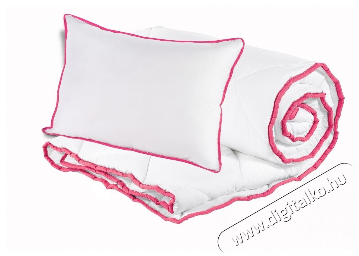 Alcam szett 2 db mikrosz&aacute;las p&aacute;rn&aacute;b&oacute;l 50x70 cm &eacute;s steppelt paplanb&oacute;l 200x220 cm H&aacute;ztart&aacute;s / Otthon / K&uuml;lt&eacute;r - Egy&eacute;b h&aacute;ztart&aacute;si term&eacute;k - 535945