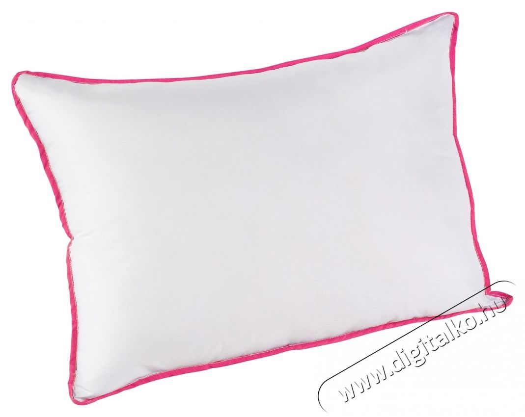 Alcam szett 2 db mikrosz&aacute;las p&aacute;rn&aacute;b&oacute;l 50x70 cm &eacute;s steppelt paplanb&oacute;l 200x220 cm H&aacute;ztart&aacute;s / Otthon / K&uuml;lt&eacute;r - Egy&eacute;b h&aacute;ztart&aacute;si term&eacute;k - 535945
