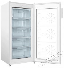 Amica FZ 206.3 AAE Konyhai termékek - Hűtő, fagyasztó (szabadonálló) - Fagyasztószekrény - 505582