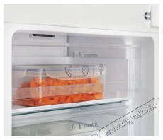 Amica BK3045.4NF(E) Konyhai termékek - Hűtő, fagyasztó (beépíthető) - Alulfagyasztós kombinált hűtő - 509556
