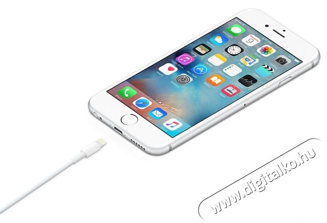 Apple Lightning - USB átalakító kábel 0,5m (ME291ZM/A) Mobil / Kommunikáció / Smart - Mobiltelefon kiegészítő / tok - Kábel / átalakító - 320064