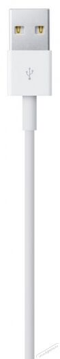 Apple Lightning - USB átalakító kábel 0,5m (ME291ZM/A) Mobil / Kommunikáció / Smart - Mobiltelefon kiegészítő / tok - Kábel / átalakító - 320064