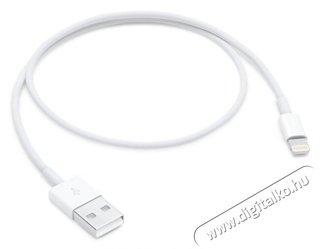 Apple Lightning - USB átalakító kábel 0,5m (ME291ZM/A) Mobil / Kommunikáció / Smart - Mobiltelefon kiegészítő / tok - Kábel / átalakító - 320064