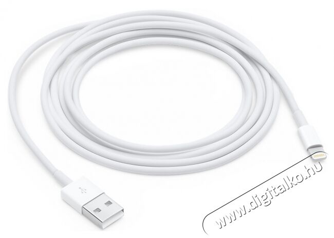 Apple Lightning - USB átalakító kábel 2m (MD819ZM/A) Mobil / Kommunikáció / Smart - Mobiltelefon kiegészítő / tok - Kábel / átalakító - 320066