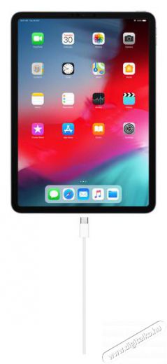 Apple MM093ZM/A 1m USB-C - UCB-C töltőkábel Mobil / Kommunikáció / Smart - Mobiltelefon kiegészítő / tok - Kábel / átalakító - 379480