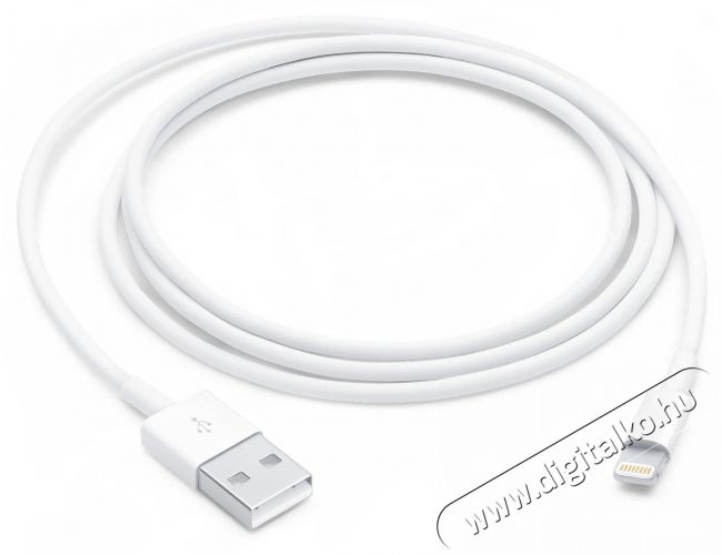 Apple Lightning to USB Cable 1m Mobil / Kommunikáció / Smart - Mobiltelefon kiegészítő / tok - Kábel / átalakító - 503326