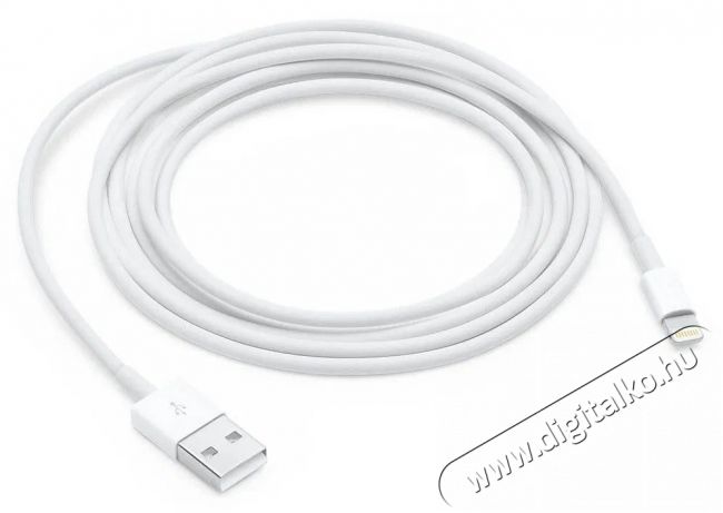 Apple Lightning to USB Cable 2m Mobil / Kommunikáció / Smart - Mobiltelefon kiegészítő / tok - Kábel / átalakító - 503320