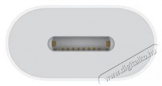 Apple USB-C to Lightning Adapter Mobil / Kommunikáció / Smart - Mobiltelefon kiegészítő / tok - Kábel / átalakító - 503324