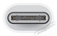Apple USB-C to Lightning Adapter Mobil / Kommunikáció / Smart - Mobiltelefon kiegészítő / tok - Kábel / átalakító - 503324