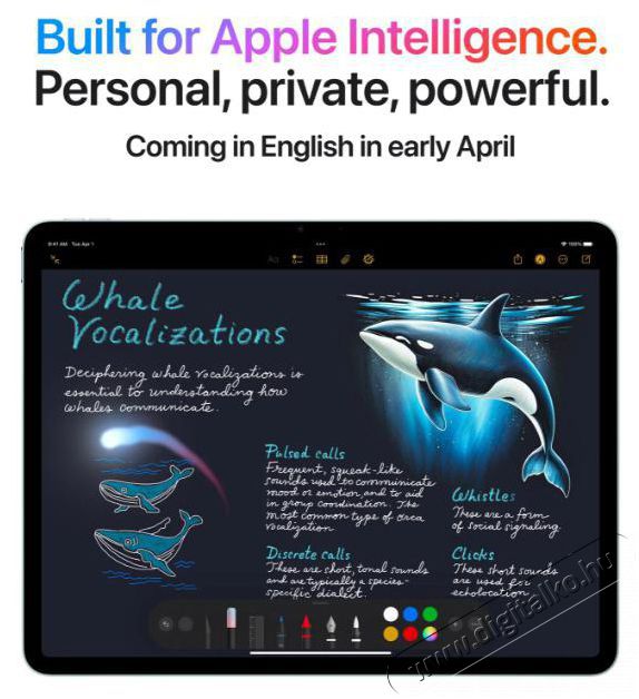 Apple Air 13  2025 256GB Cellular M3 - Csillagf&eacute;ny tablet Mobil / Kommunik&aacute;ci&oacute; / Smart - Tablet - iOS tablet - 523743