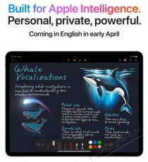 Apple Air 13  2025 256GB Cellular M3 - Csillagf&eacute;ny tablet Mobil / Kommunik&aacute;ci&oacute; / Smart - Tablet - iOS tablet - 523743