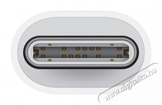 Apple USB-C to Lightning Adapter Mobil / Kommunikáció / Smart - Mobiltelefon kiegészítő / tok - Kábel / átalakító - 503324