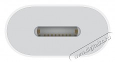 Apple USB-C to Lightning Adapter Mobil / Kommunikáció / Smart - Mobiltelefon kiegészítő / tok - Kábel / átalakító - 503324