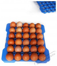 Araven GN 2/3 Tojástartó doboz + 4 kék tálca Konyhai termékek - Edény - Edény készlet - 526900