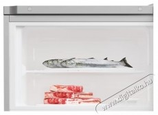 ARCTIC AD54280M40S Hűtő, k&eacute;tajt&oacute;s, 250 l, E energiaoszt&aacute;ly, Garden Fresh, LED vil&aacute;g&iacute;t&aacute;s, M 166,3 cm, Ez&uuml;st Konyhai term&eacute;kek - Hűtő, fagyaszt&oacute; (szabadon&aacute;ll&oacute;) - Fel&uuml;lfagyaszt&oacute;s kombin&aacute;lt hűtő - 534194