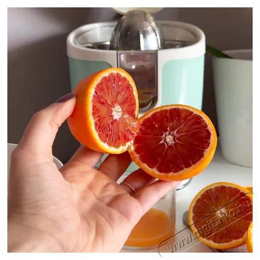 Ariete Vintage Juicer 413/04 - zöld Konyhai termékek - Konyhai kisgép (előkészítés / feldolgozás) - Gyümölcs centrifuga / prés - 523821