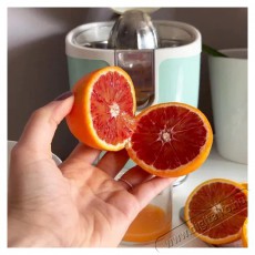 Ariete Vintage Juicer 413/04 - zöld Konyhai termékek - Konyhai kisgép (előkészítés / feldolgozás) - Gyümölcs centrifuga / prés - 523821