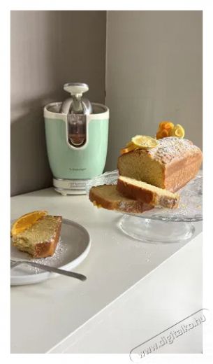 Ariete Vintage Juicer 413/04 - zöld Konyhai termékek - Konyhai kisgép (előkészítés / feldolgozás) - Gyümölcs centrifuga / prés - 523821