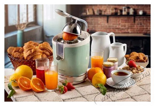 Ariete Vintage Juicer 413/04 - zöld Konyhai termékek - Konyhai kisgép (előkészítés / feldolgozás) - Gyümölcs centrifuga / prés - 523821