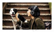 Audio-Technica ATH-M50XBT2 Bluetooth stúdió minőségű fekete fejhallgató Audio-Video / Hifi / Multimédia - Fül és Fejhallgatók - Fejhallgató mikrofonnal / headset - 459237