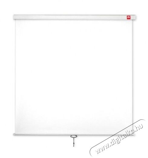 Avtek Wall Standard 175 1:1 175x175cm matt fehér rolós vetítővászon Tv kiegészítők - Vetítővászon - 338601