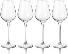 B.BOHEMIAN DION prosecco pohár szett - 250 ml, 4 db Konyhai termékek - Konyhai eszköz - Készlet / szett - 523905