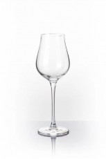 B.BOHEMIAN DION prosecco pohár szett - 250 ml, 4 db Konyhai termékek - Konyhai eszköz - Készlet / szett - 523905