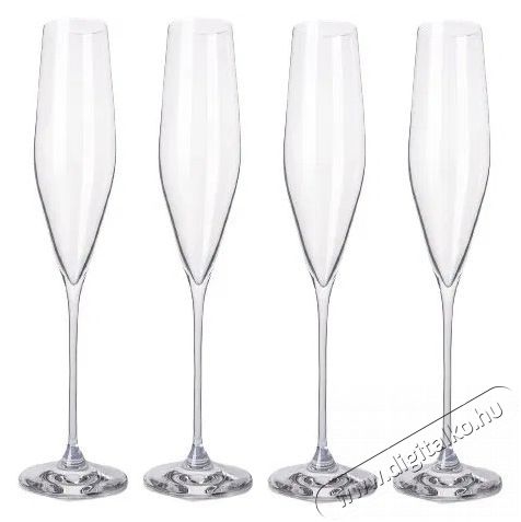 B.BOHEMIAN SENECA prosecco / pezsgőspoh&aacute;r szett - 190 ml, 4 db Konyhai term&eacute;kek - Konyhai eszk&ouml;z - K&eacute;szlet / szett - 523916